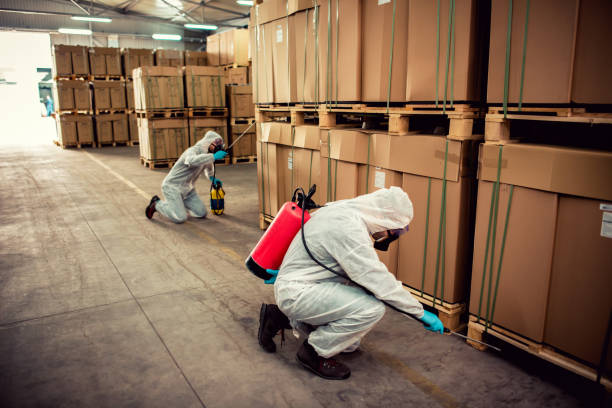 Best Pest Prevention Services  in South Valley, NM