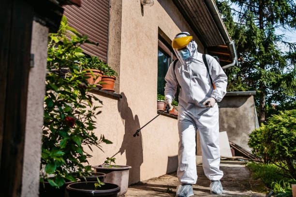 Best Best Pest Control Companies  in South Valley, NM