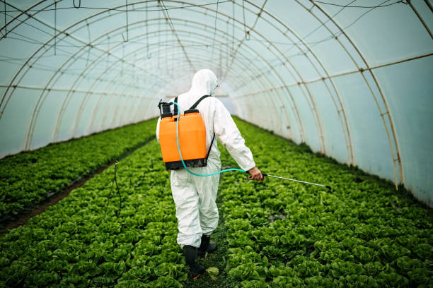 Best Affordable Pest Control Services  in South Valley, NM