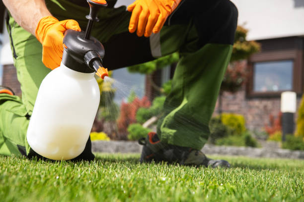 Best Rat Extermination Near Me  in South Valley, NM