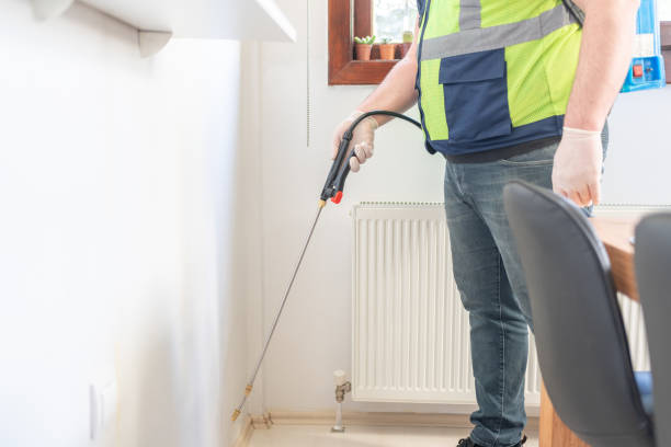 Wasp Removal Services in South Valley, NM