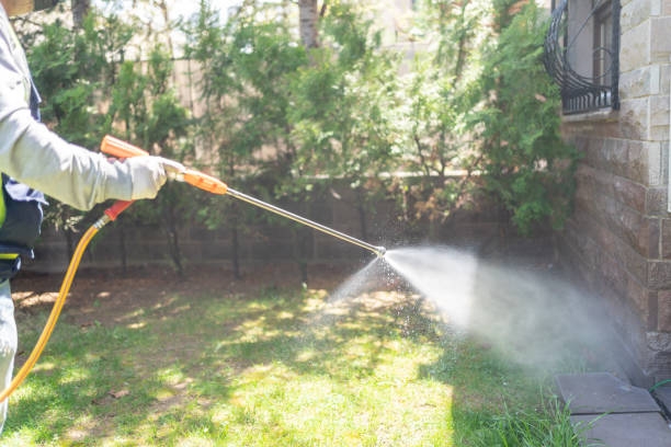 Best Pest Prevention Services  in South Valley, NM