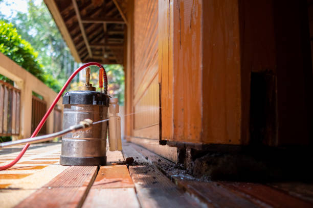 Best Best Pest Control Companies  in South Valley, NM
