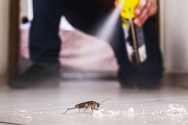 Best Pest Control for Restaurants  in South Valley, NM