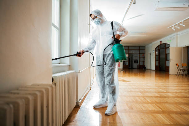 Flea Control Services in South Valley, NM